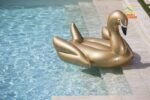 1 9m 75inch Giant Rideable Gold Swan Toy Inflatable Float Swimming Water Pool Summer Fun - 3