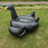 150cm Swan Black