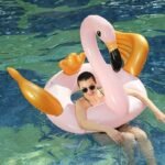 2 Giant Inflatable Swimming Circle Float Swan Ring With Gold Wings Adult Kids Water Party Toy Piscina - 5