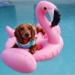 Pool Float Inflatable Flamingo70x60cm 4 Hole Pink Flamingo Cup Holder Coasters Cola Beverage For Adults Children
