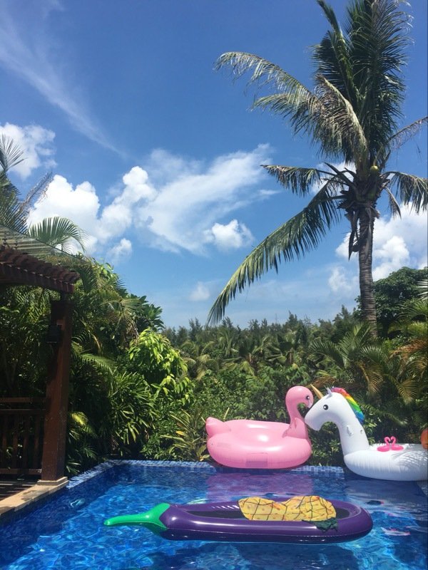 Deluxe 254cm Inflatable Eggplant Pool Float Kids Water Toy Swimming Ring Lounge Chair Fun Floating Raft - 1