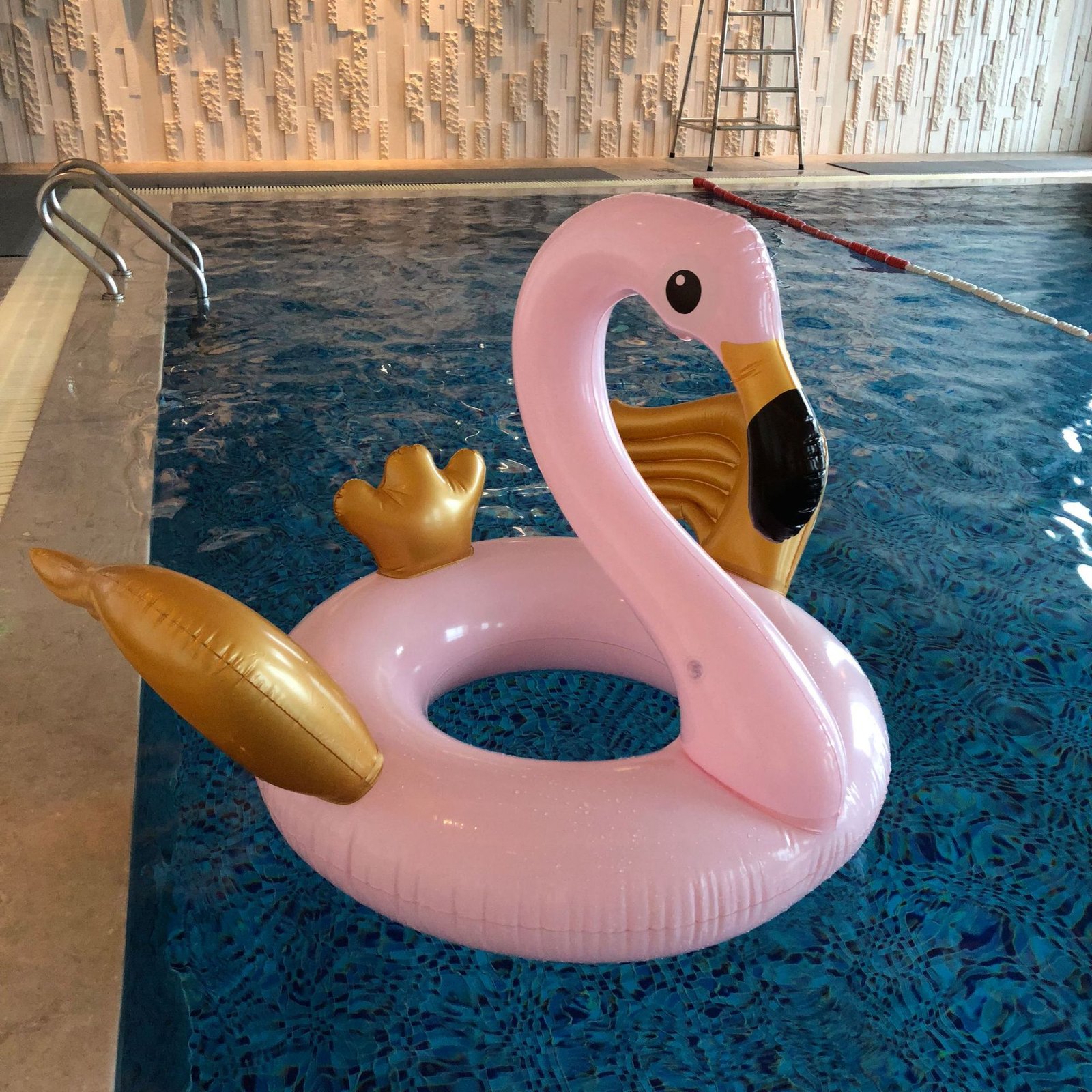 Deluxe Giant Goldwinged Swan Inflatable Float Swimming Circle Ring For Adults Kids Water Party Toy - 11