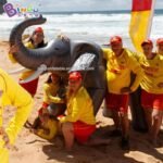 3 9x2 5 Meters Inflatable Elephant Vivid Model Customized Forest Theme Animal Decoration - 4