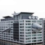 Customized Giant Inflatable Shark On The Building 5 Parts Large Toys