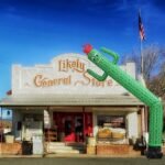Advertising Inflatable Tube Cactus No Blower 19ft Blow Up Giant Waving Arm Fly Puppet Man - 5