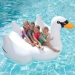 Inflatable Swimming Pool Float Summer Lake Lounge Kids Giant Rideable White Swan Design Toys Raft - 5