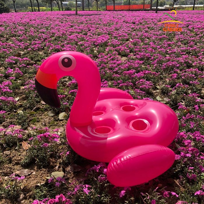 Inflatable Pool Float Drink Holders Swan Donut Duck Football Flamingo Heart Cloud Mushroom Designs - 36