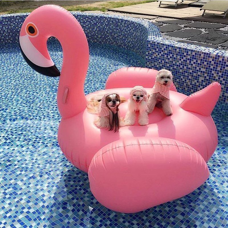 Summer Fun Giant Inflatable Flamingo White Swan Pool Float Lounge Raft Toy Rideon Lifebuoy - 22