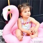 Kids Child Ins Inflatable Wings Raft Flamingo Swan Swimming Swim Ring Ride-on Float Bathing Toys Summer Water Giant Pool Tube - 6