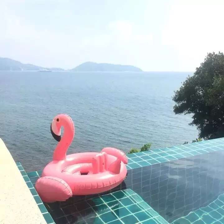 Kids Inflatable Flamingo Swan Wings Pool Float Giant Summer Swim Ring Rideon Toy Child Water Bathing Tube Raft - 9 Kids Inflatable Flamingo Swan Wings Pool Float Giant Summer Swim Ring Rideon Toy Child Water Bathing Tube Raft - 9