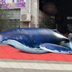 Personalized 20 Feet Outdoors Pvc Giant Inflatable Whale Air Sealed Blue 6m Long Toys - 3