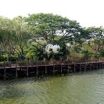 Personalized 2m Inflatable Giant Eyeball Cute Eye Big For Decoration Toys - 3