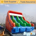 And Best Pvc Material Dual Lane Inflatable Slide Water Park Game - 3