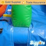 And Best Pvc Material Dual Lane Inflatable Slide Water Park Game - 6