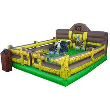 Bull Riding Machine For