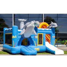 5x5m Inflatable Dolphin Bouncy Castle With A Slide Bounce House Combos