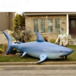 Lifelike Large Inflatable Shark Whale Animal Model For Ocean Event Decoration