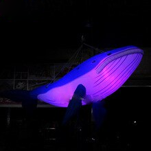 Customized 5m Length Giant Inflatable Whale Large Led For Decoration Toys