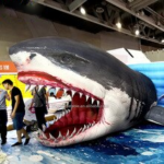 Price Inflatable Large Shark Model For Ocean Party Decoration Toys