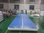 8x1x0 2m Inflatable Air Mat Tumble Track Trampoline Mats Gymnastics A Pump