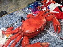16 Feet Long Giant Inflatable Crab 5 Meters Decorative Airblown Crab- Toys