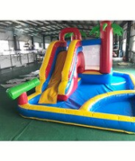 Chinese Inflatable Water Slide Bounce House With Pool Kids Game