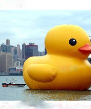 Ocyle 0 9mm Pvc Price Inflatable Pool Duck 3m Height Giant Promotion