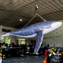 Highly Recommended 3m Length Inflatable Suspended Humpback Whale Air Filled Custom Tailor Ocean Theme Hanging Item Decoration