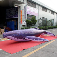 Customized 6m Length Giant Inflatable Whale Swimming 20 Feet Toys