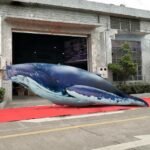 Outdoor Pvc 20ft Giant Inflatable Whale Air Tight Blue Sealed 6m Long Inflatable-toys