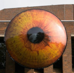 Two Inflatable Eyes